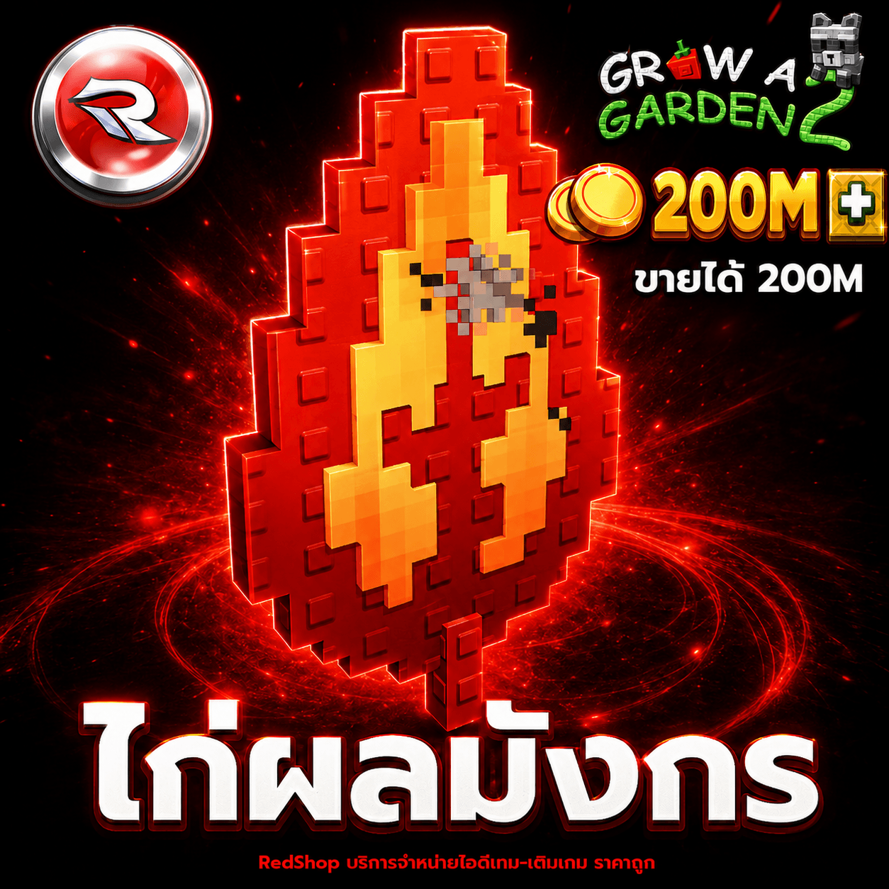 ไก่ผลมังกร🐲ขายได้ 200M (สุ่มบัพ)🐲⚡แมพ Grow a Garden 2⚡การันตีผลได้100%