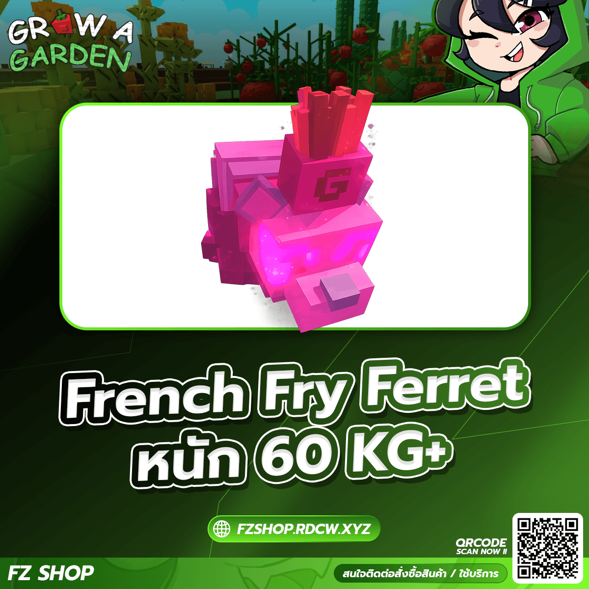 French Fry Ferret หนัก 60KG+