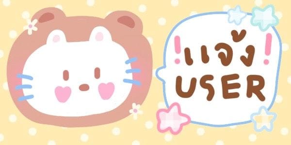KAMIKASTORE แบนเนอร์ 2