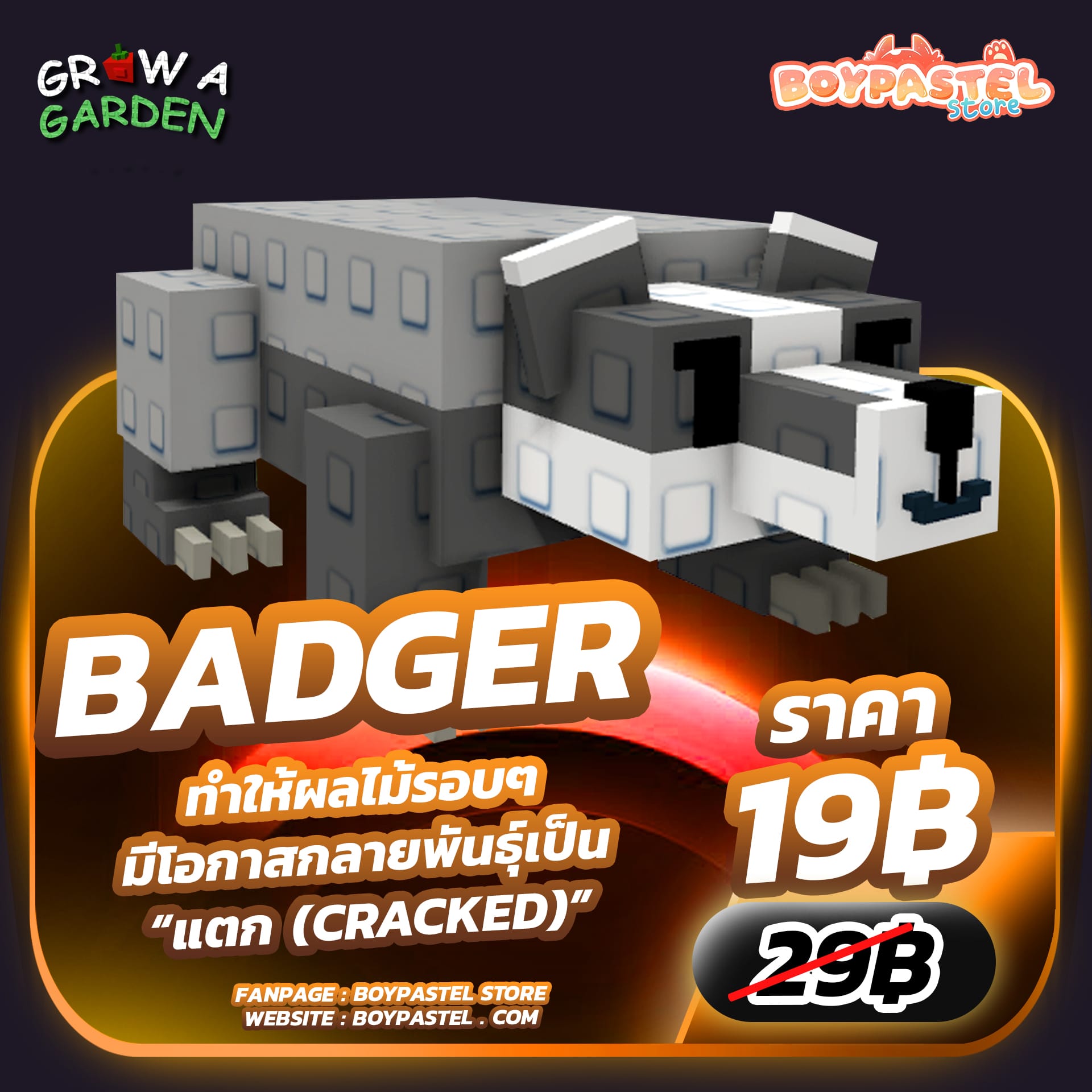 Badger [Rare]