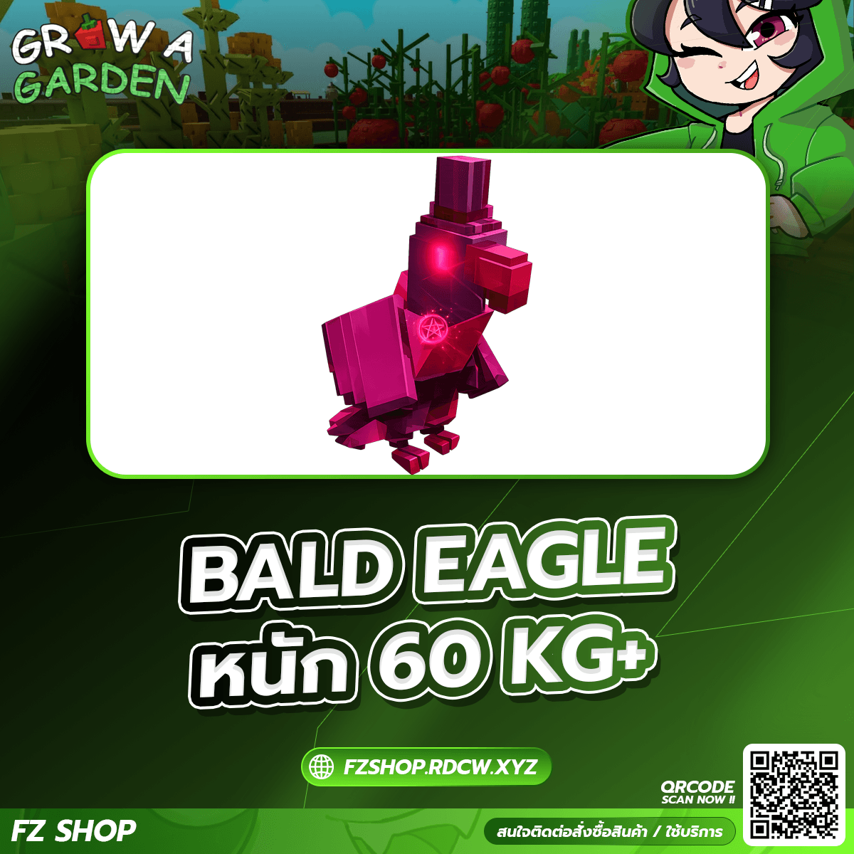 BALD EAGLE หนัก 60KG+