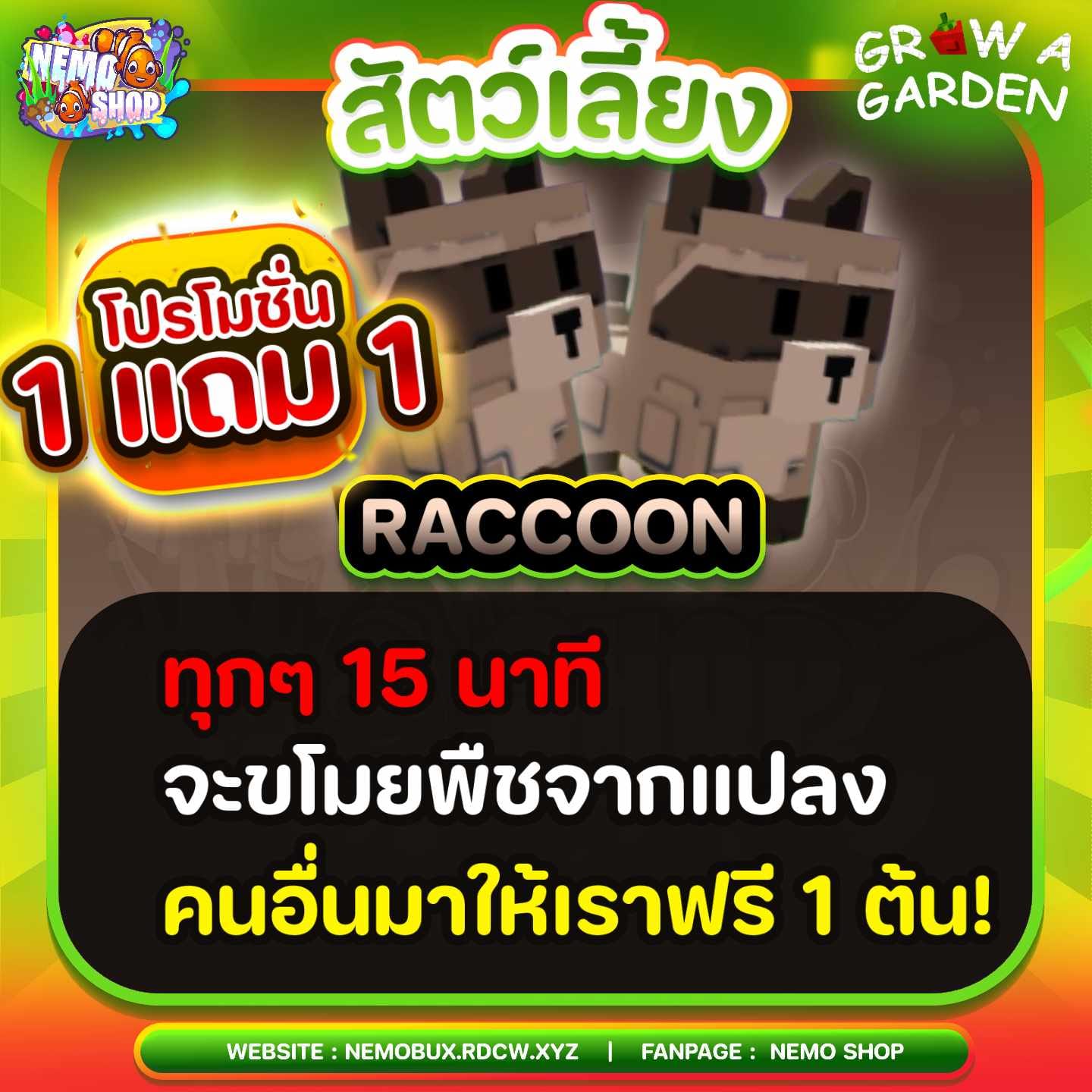 Raccoon 1 แถม 1 สุดคุ้ม!!