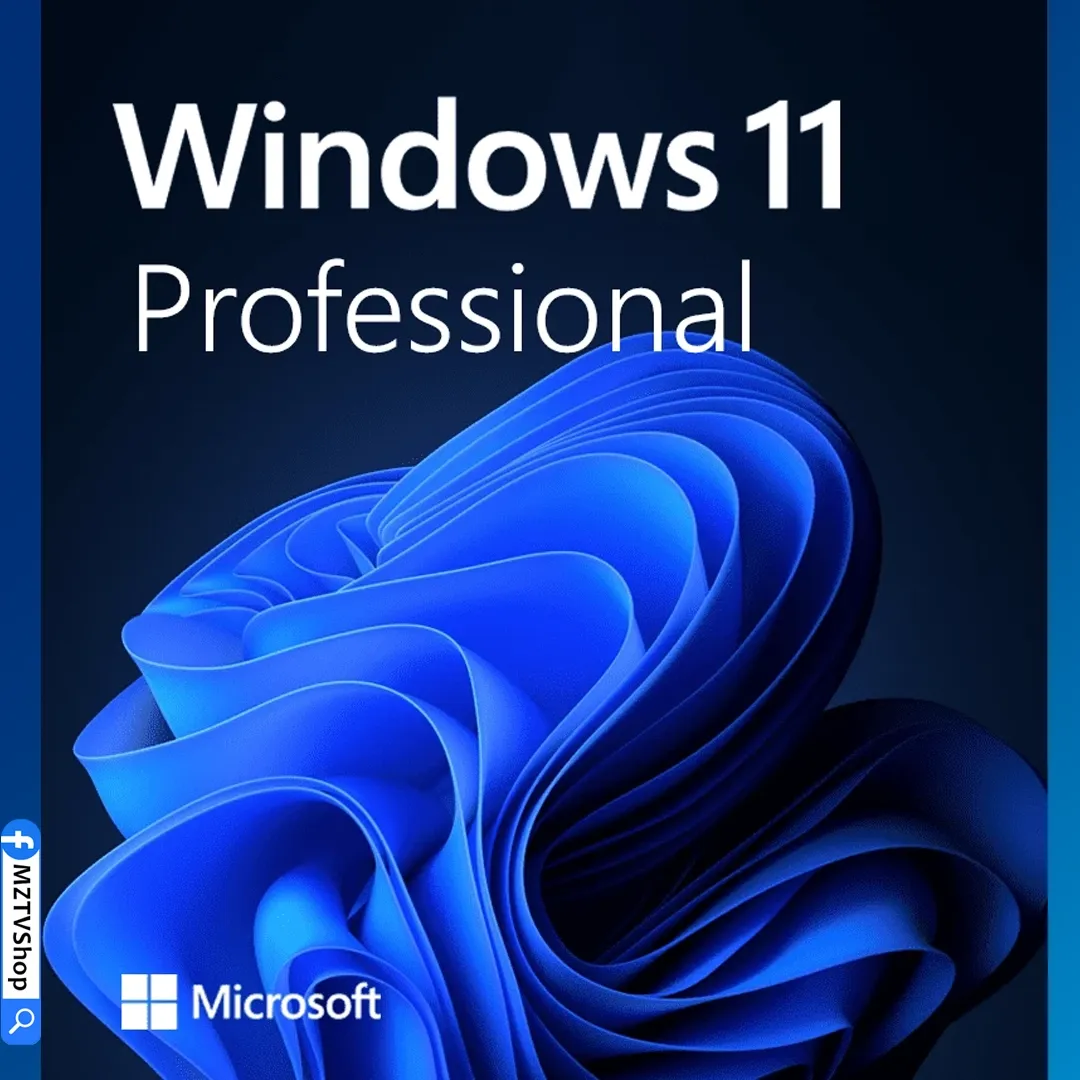 Windows 11 Pro