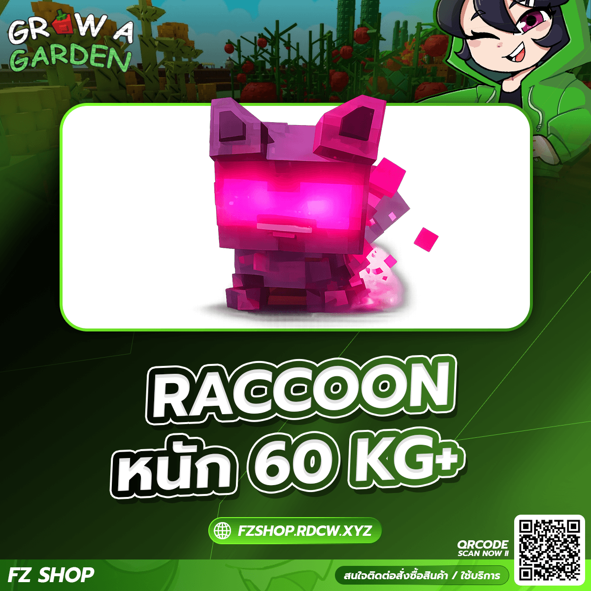 RACCOON หนัก 60KG+