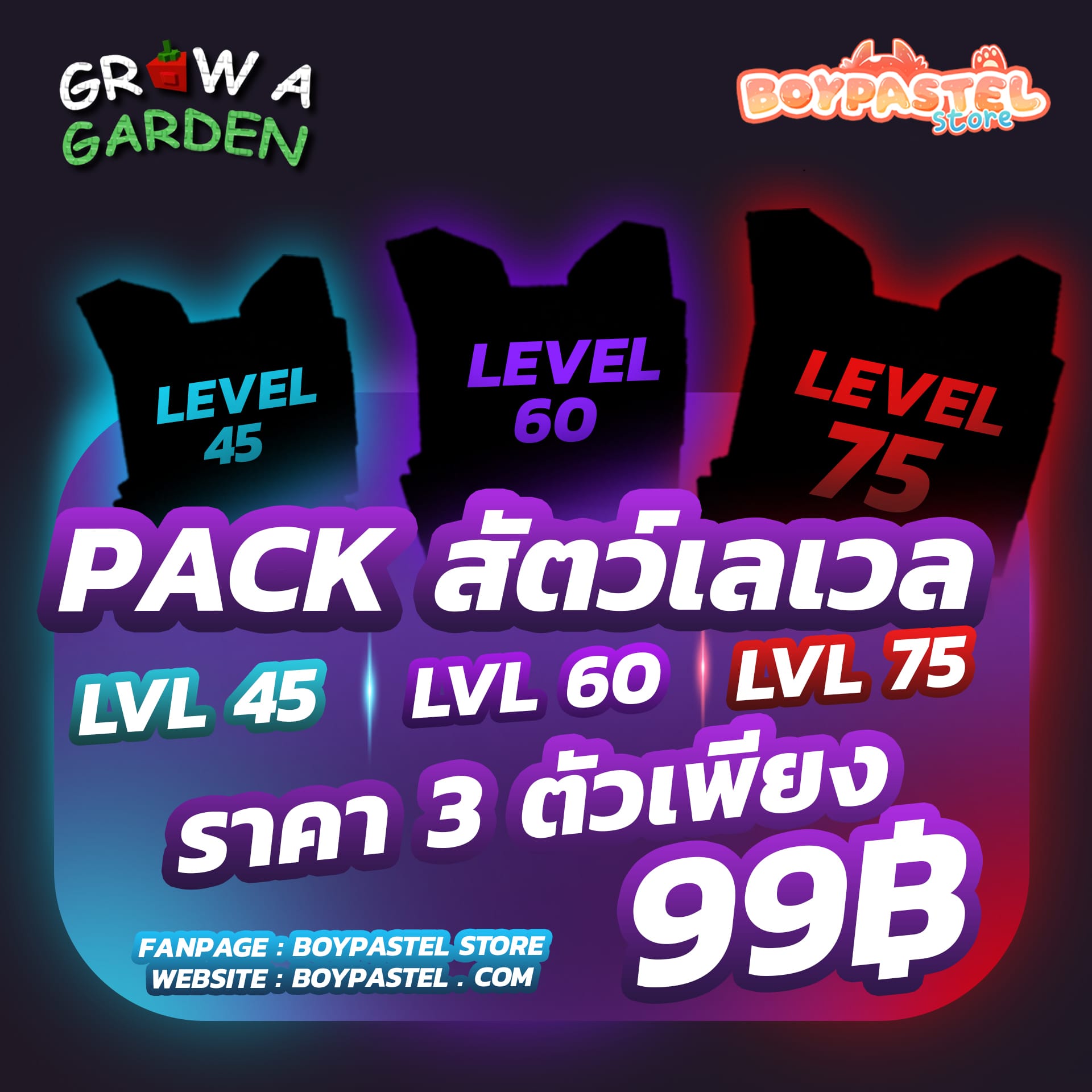 PACK 3 ตัว LVL 45 60 75