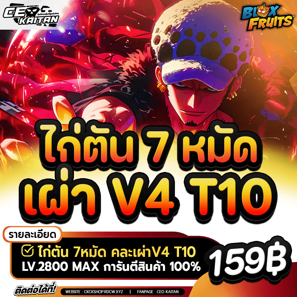 🥵 ไก่ตัน 7 หมัด เผ่า V4 ขั้น10 จำนวนจำกัด [ไม่มีเกลือ]