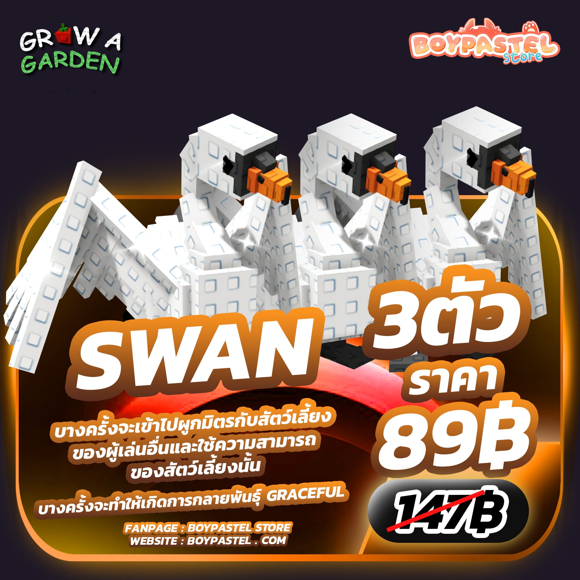 Swan [Divine] 3 ตัว