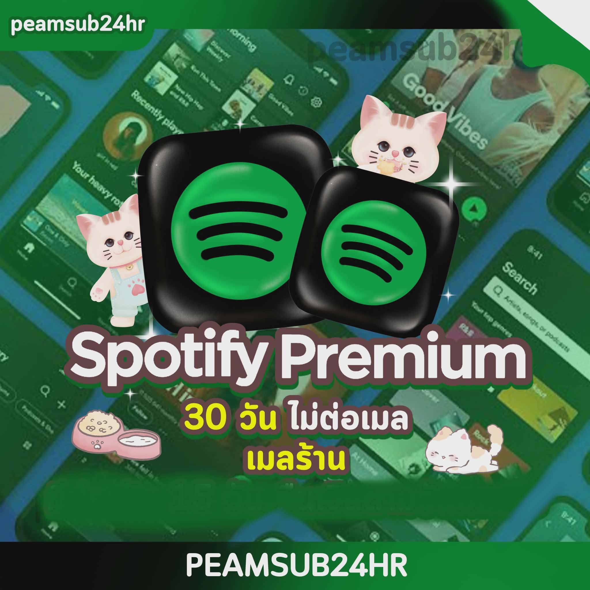 Spotify Premium 30 วัน (เมลร้าน)
