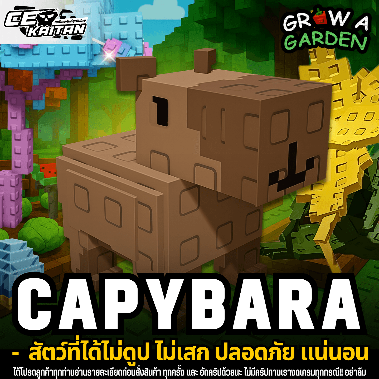 🔥CAPYBARA สัตว์โครตเทพ‼️(การันตีสินค้า)