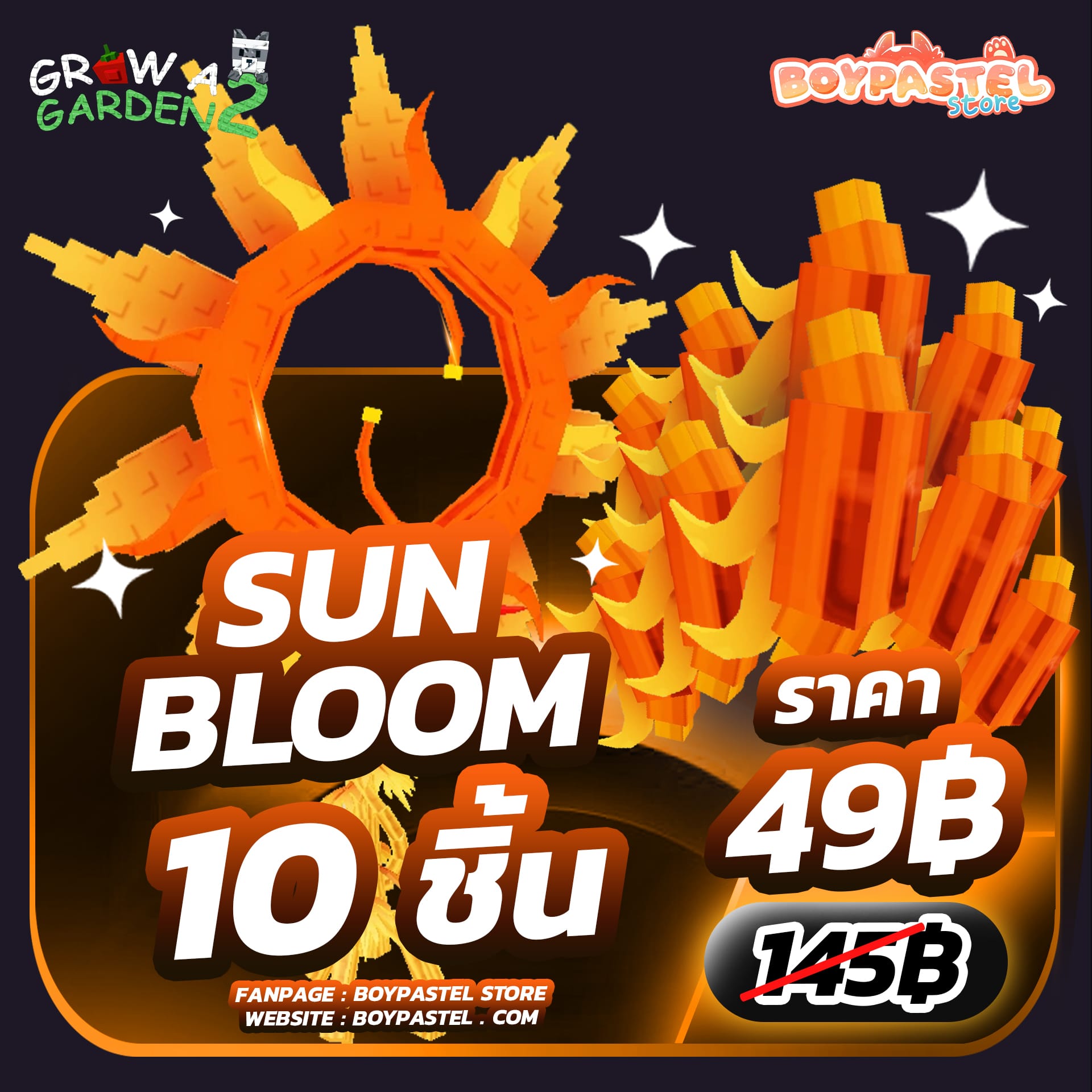 Sun Bloom 10 ชิ้น