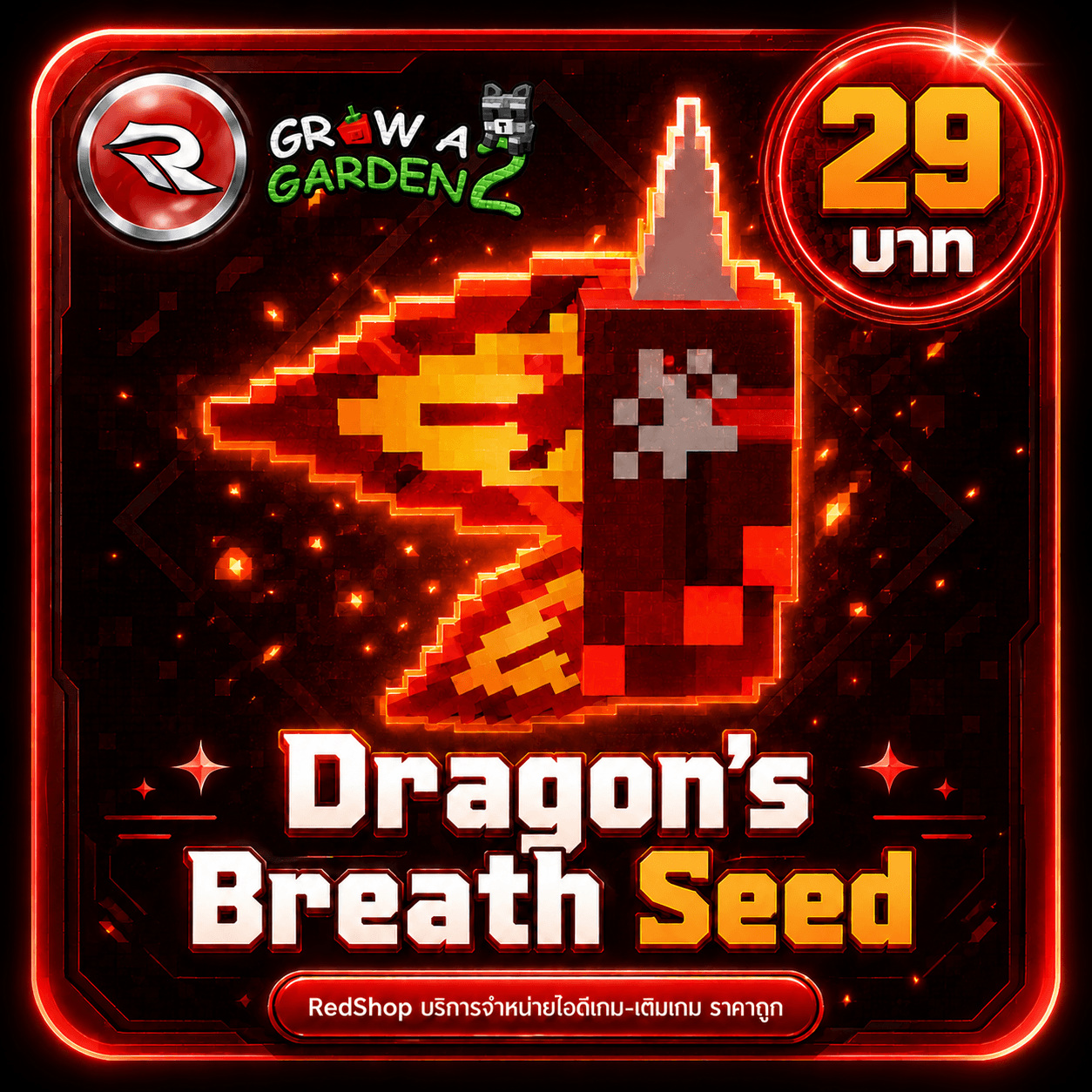ไอดีไก่🐲เมล็ด Dragon's Breath 🐲⚡แมพ Grow a Garden 2⚡ใช้ แค่@ชื่อในเกม✨