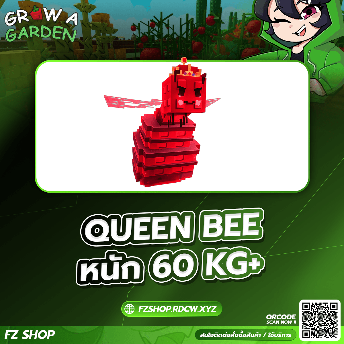 QUEEN BEE หนัก 60KG+
