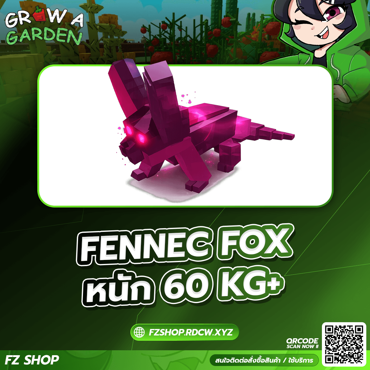 FENNEC FOX หนัก 60KG+