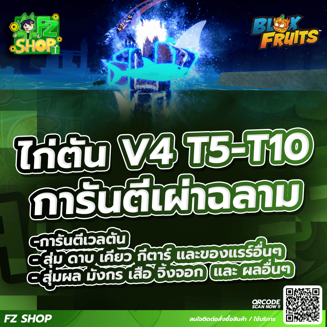ไก่ตัน เผ่าฉลาม V4 T5-T10