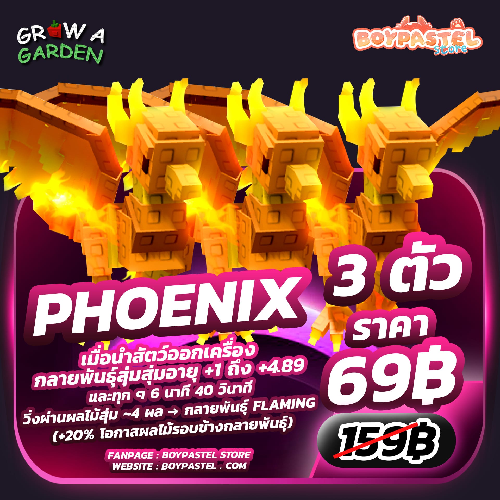 Phoenix 3 ตัว [Divine] 