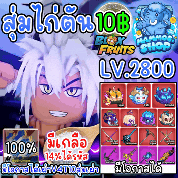 สุ่มไก่ตัน 10฿ (มีเกลือ) Blox Fruits