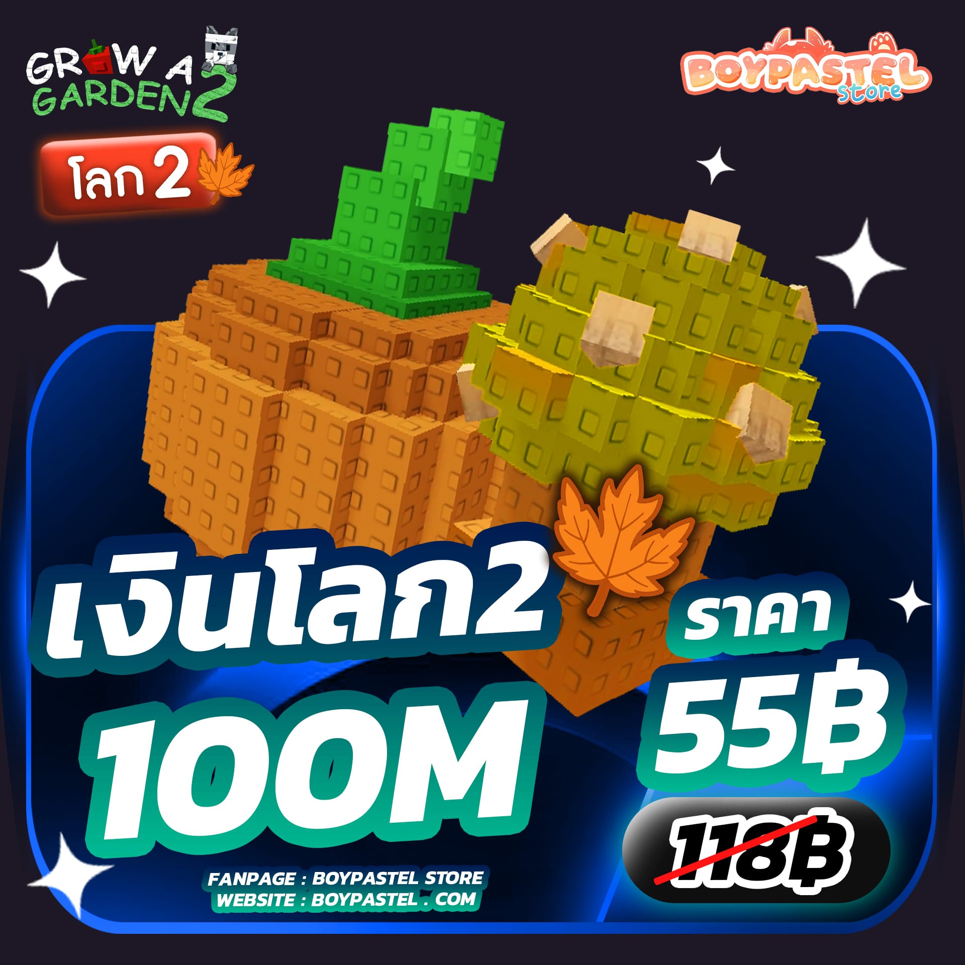 เงิน 100M ¢