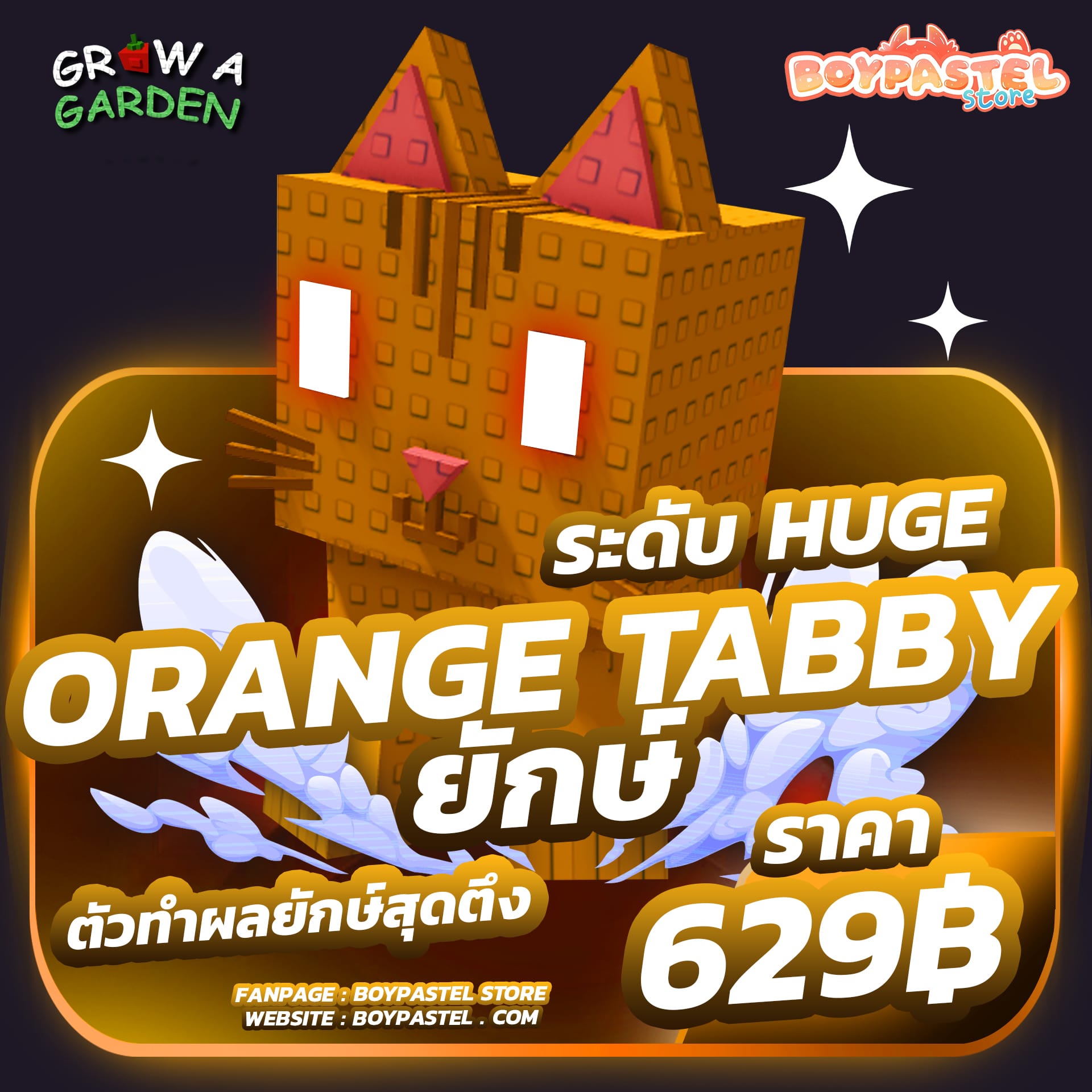 Orange Tabby HUGE [RARE]