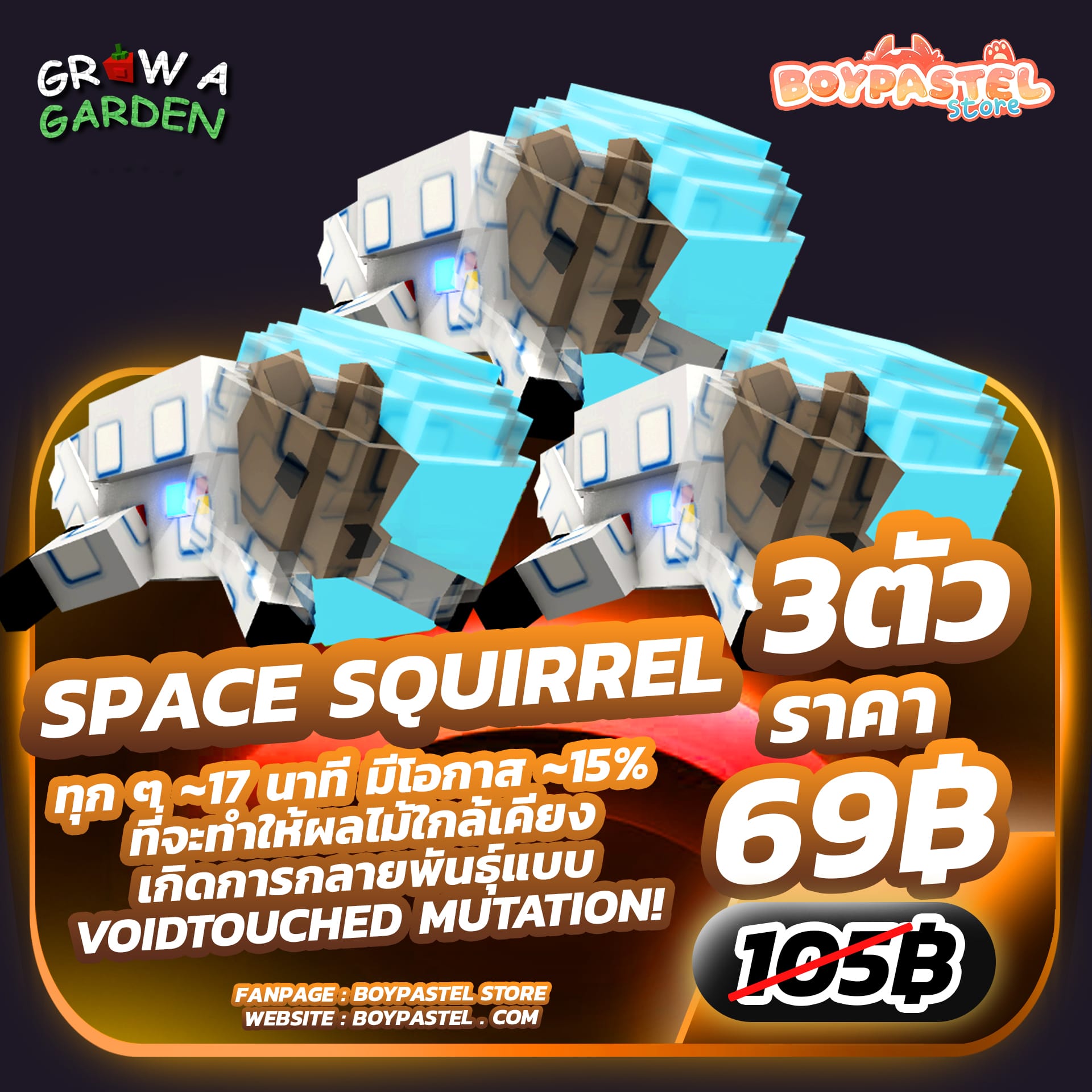 Space squirrel( Divine ) 3 ตัว