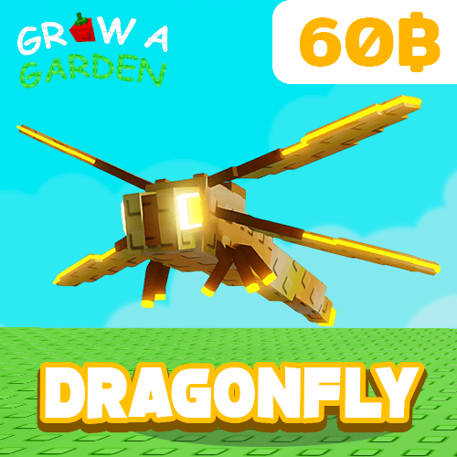 Dragonfly (แมลงปอ)