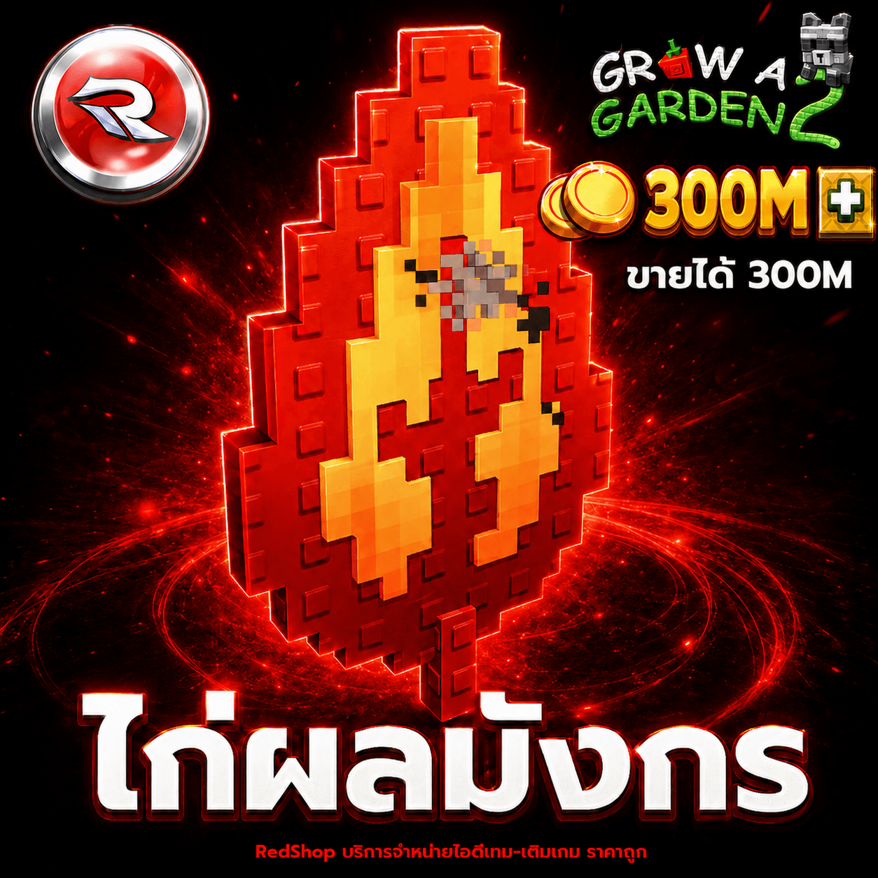 ไก่ผลมังกร🐲ขายได้ 300M (สุ่มบัพ)🐲⚡แมพ Grow a Garden 2⚡การันตีผลได้100%