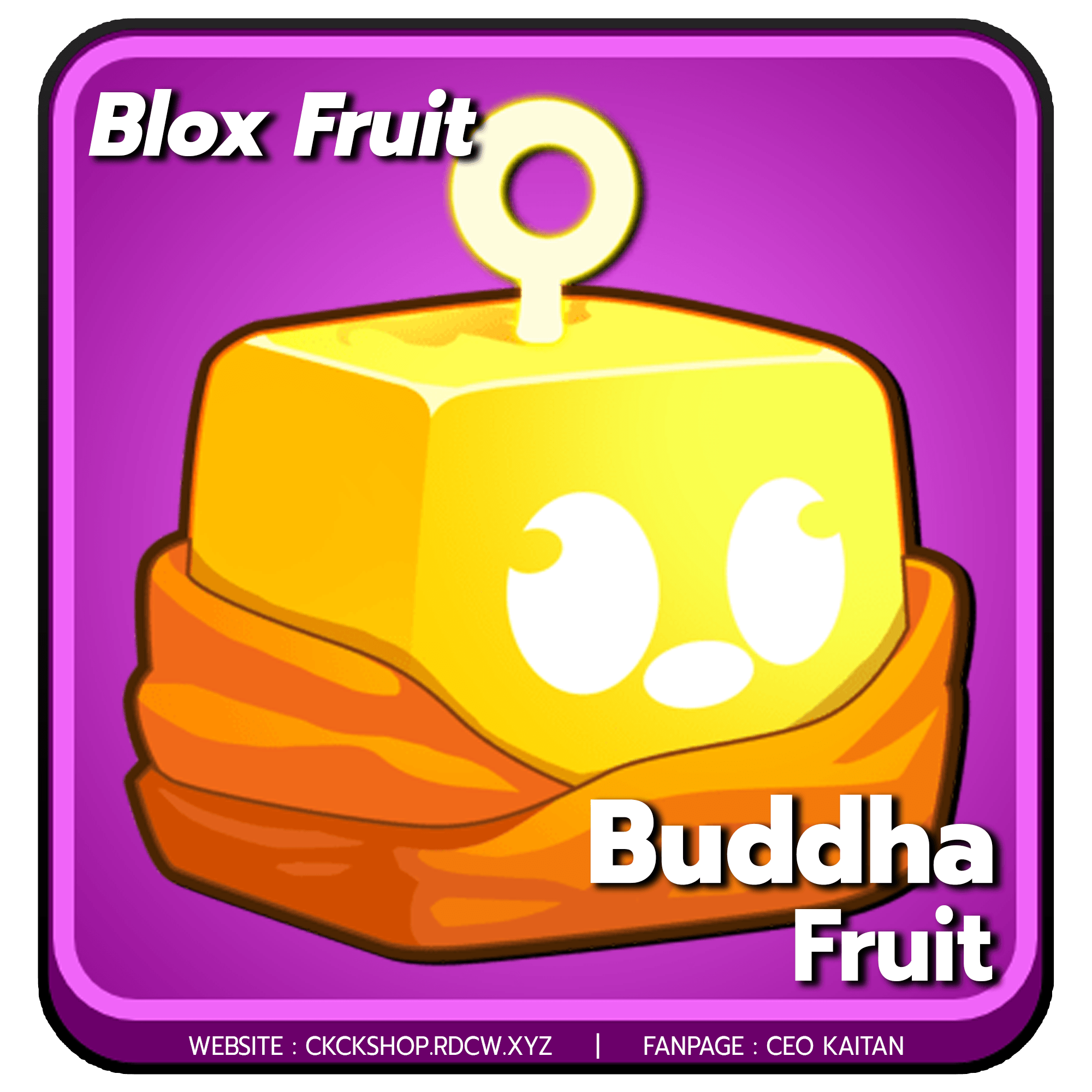  (FRUIT) ไก่ผลเทพ Buddha การันตีสินค้า