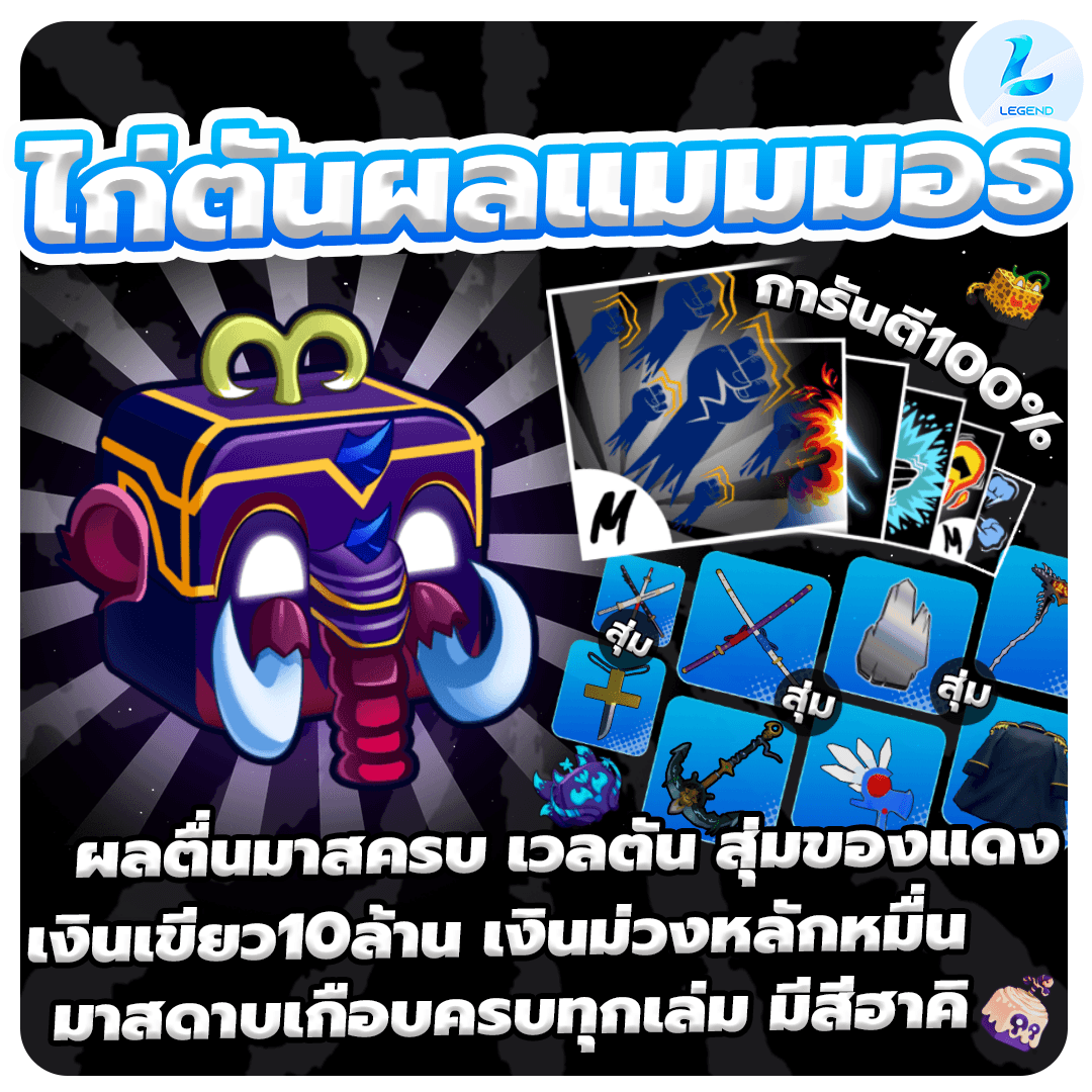 ผลช้างมาสครบ 6หมัด