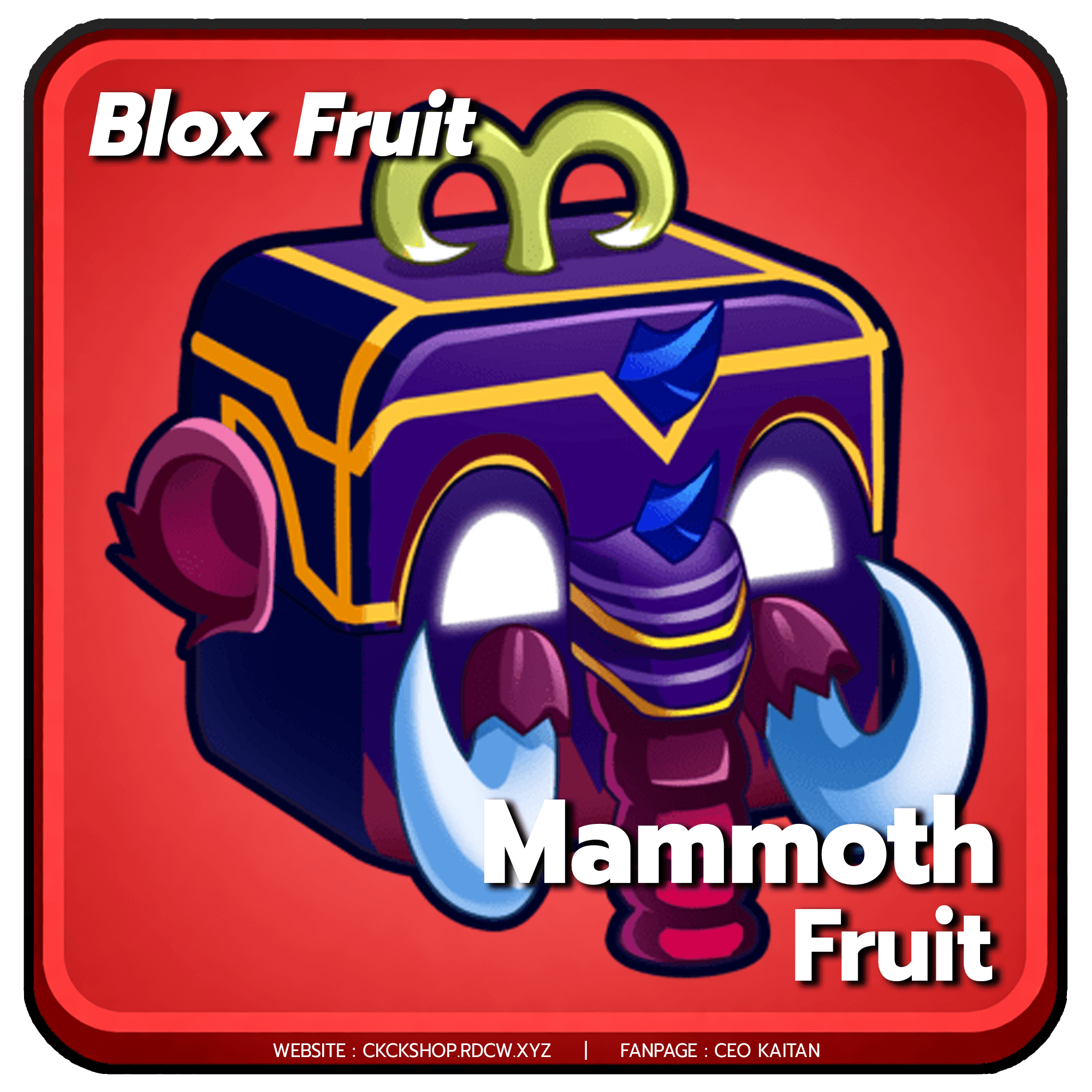  (FRUIT) ไก่ผลแดง Mammoth การันตีสินค้า