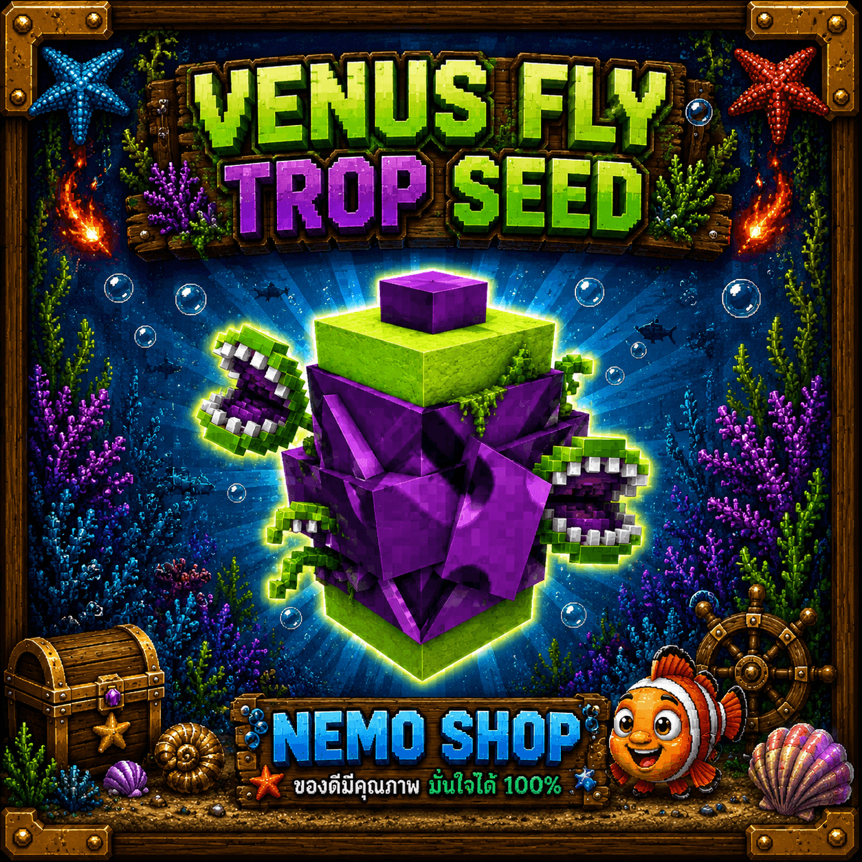 Venus Fly Trop Seed 1 ชิ้น