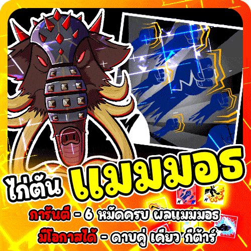 [🛒] ไก่ตัน 6 หมัด ผลช้างแมมมอธ
