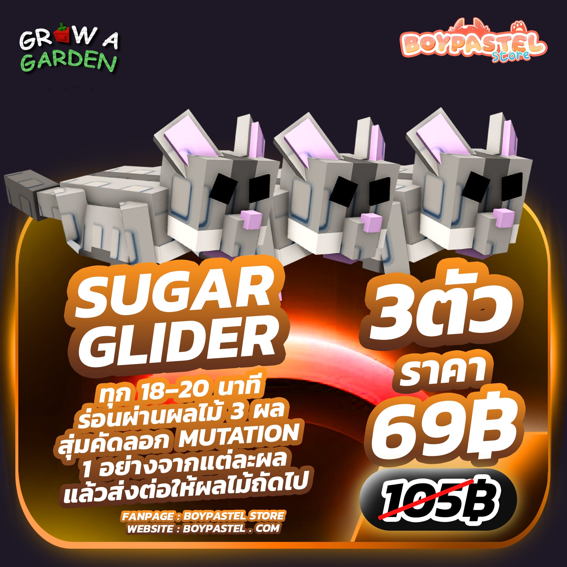 Sugar glider [Mythical] 3 ตัว