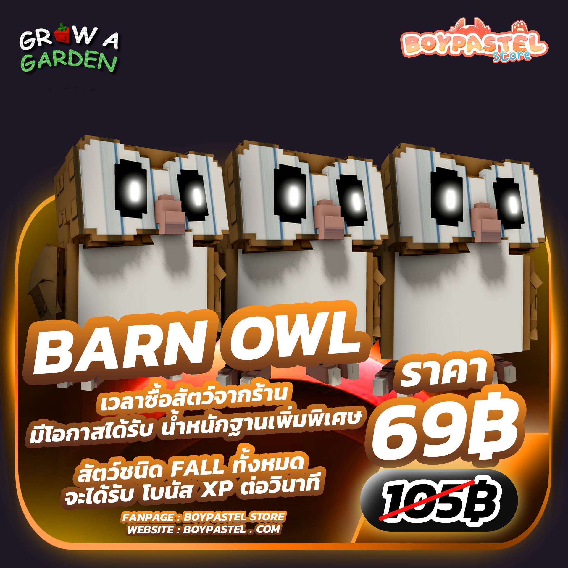 Barn Owl [Mythical] 3ตัว