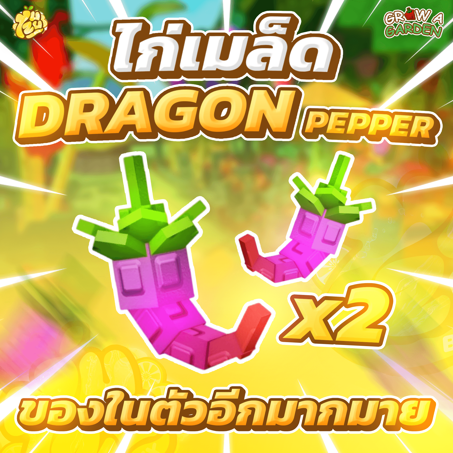 ไก่เมล็ด Dragon Pepper 2 เมล็ด