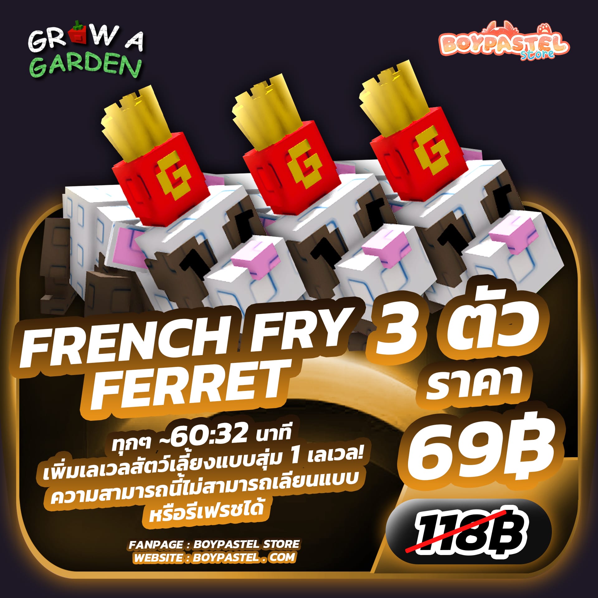 French Fry Ferret 3 ตัว [Divine]