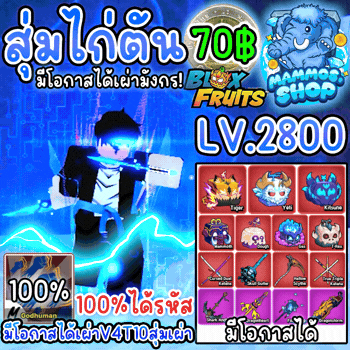 สุ่มไก่ 6 หมัด Blox Fruits