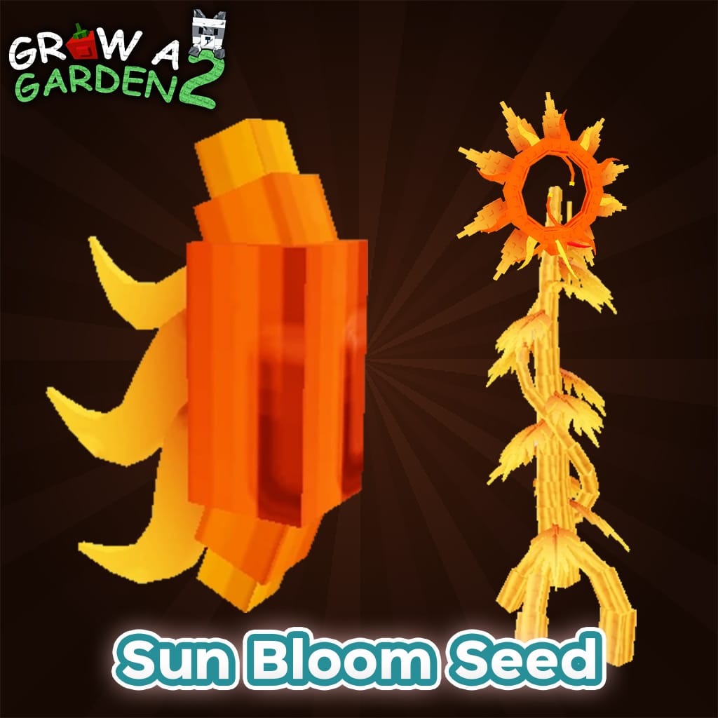 Sun Bloom 1-5 เมล็ค☀️