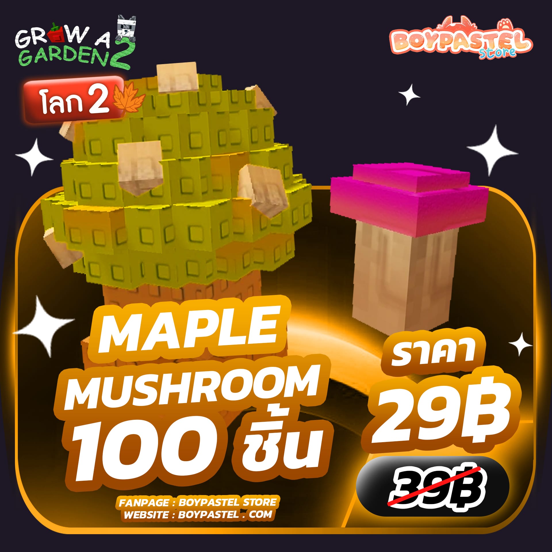 Maple Mushroom 100 ชิ้น
