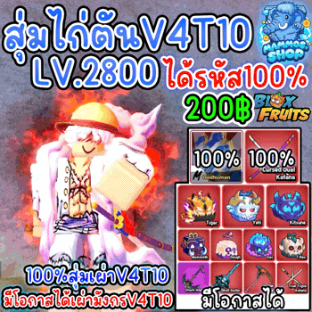 สุ่มไก่ตันV4T10 Blox Fruits
