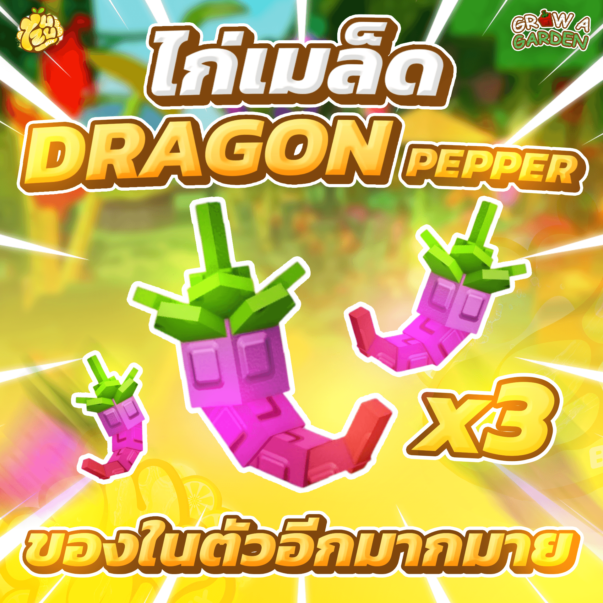 ไก่เมล็ด Dragon Pepper 3 เมล็ด