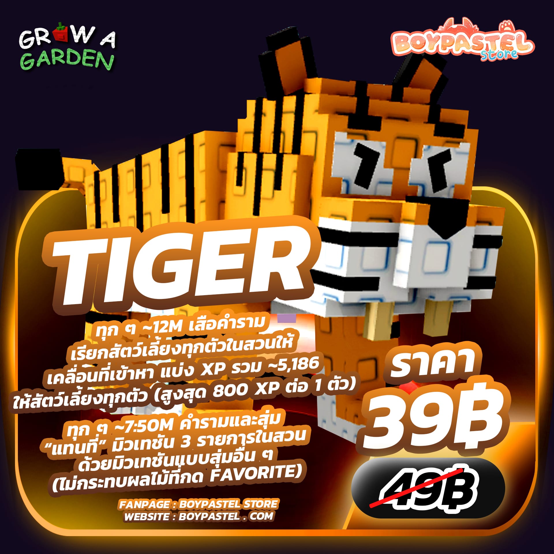 TIGER [Divine]