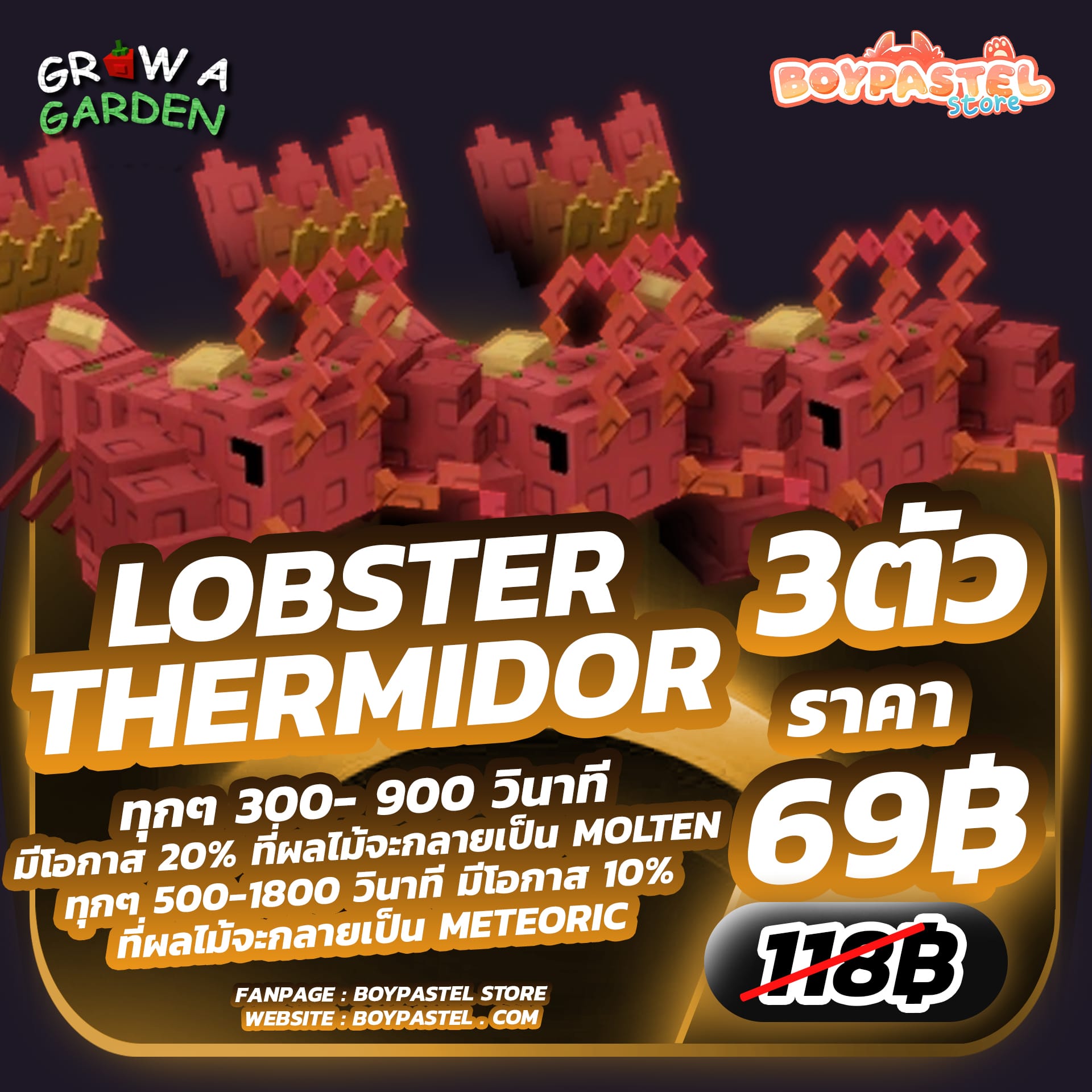 Lobster Thermidor 3 ตัว[Divine]