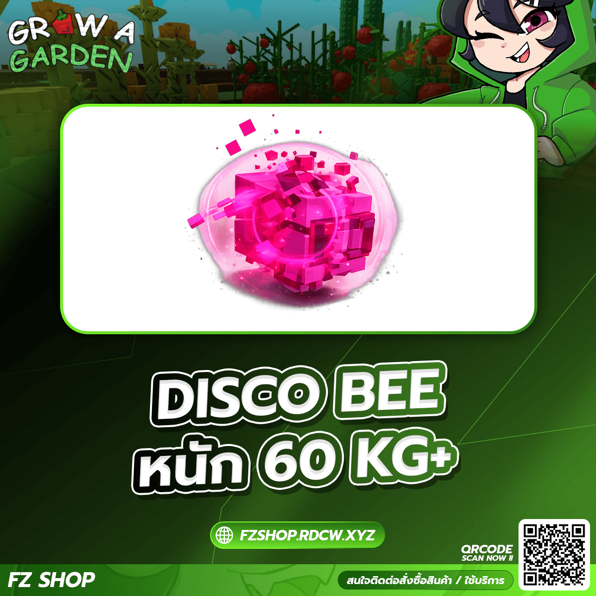 DISCO BEE หนัก 60KG+