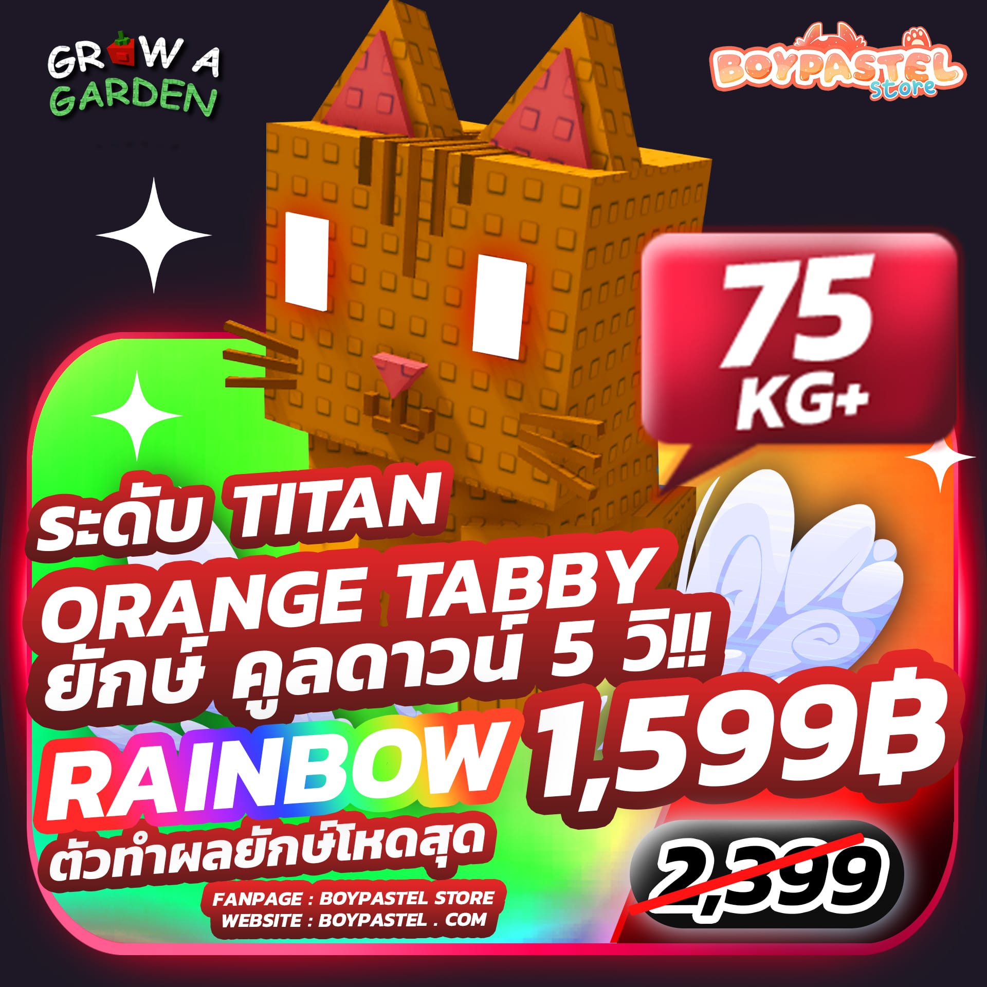 Rainbow Orange Tabby TITAN [RARE] 75 kg+