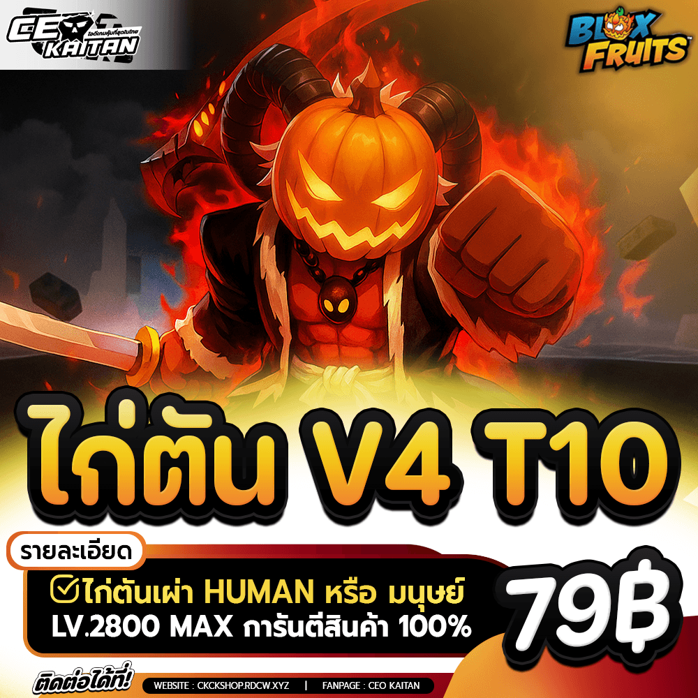 🥵 ไก่ตัน Human V4 ขั้น10   [การันตีสินค้า100%]