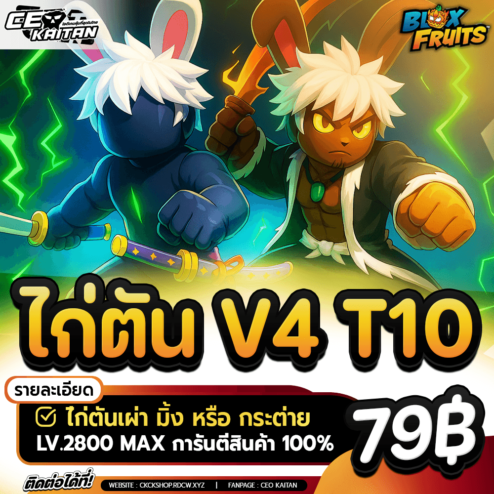 🔥 ไก่ตันเผ่า มิ้ง V4 ขั้น10 [มีสิทธิ์ได้ผลถาวร]
