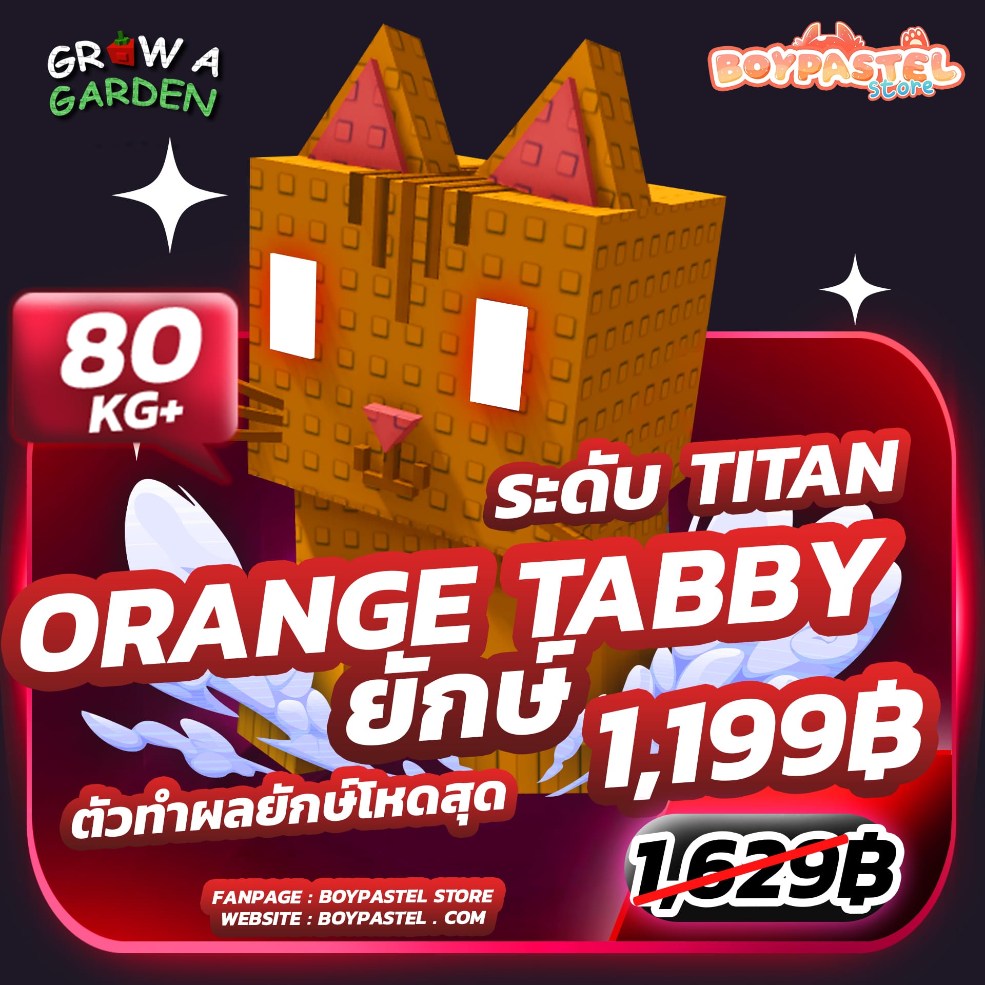 Orange Tabby TITAN [RARE] 80 kg+