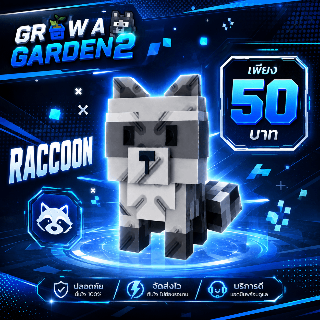 ไก่ Raccon ในจดหมาย หรือในตัว!!