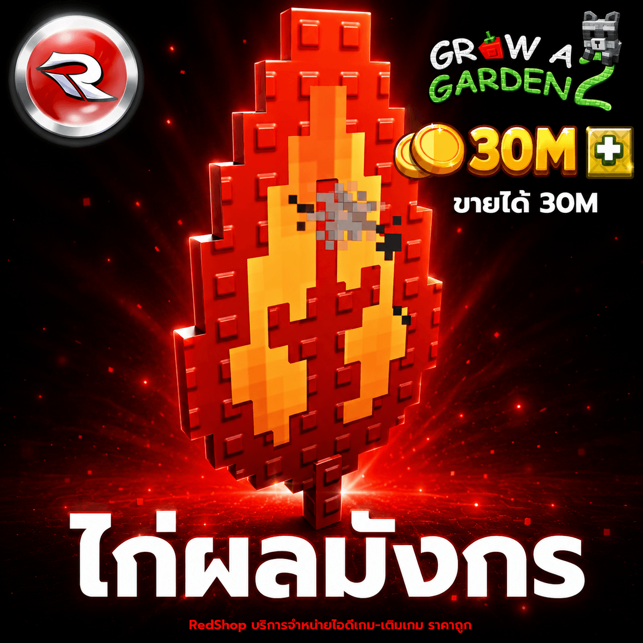 ไก่ผลมังกร🐲ขายได้ 30M (สุ่มบัพ)🐲⚡แมพ Grow a Garden 2⚡การันตีผลได้100%