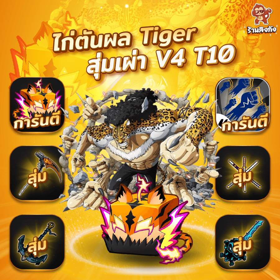 ไก่ตัน V4 T10 การันตี Tiger