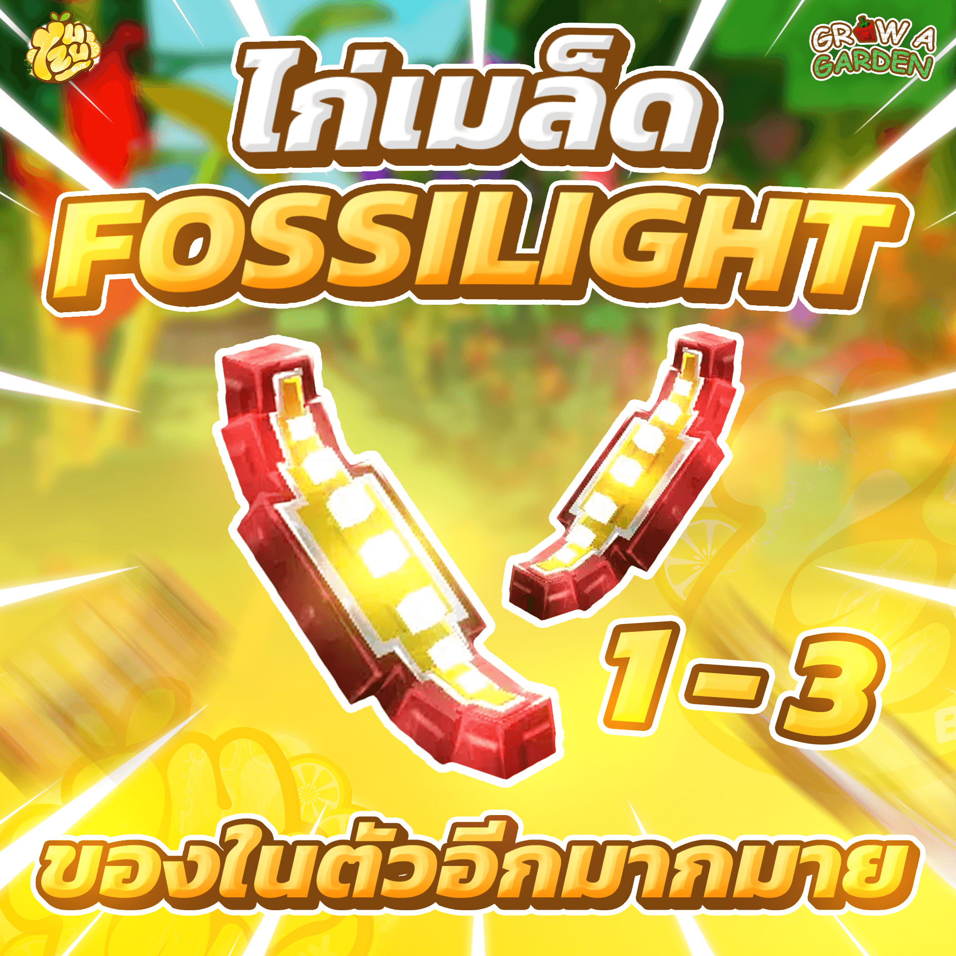 ไก่เมล็ด Fosslight 1-3 เมล็ด